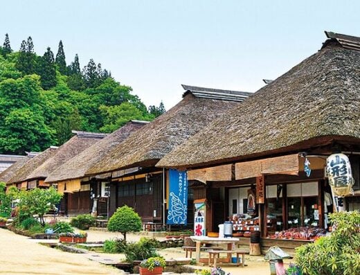Tsuruga Cultural Heritage Tour: Cruise Shore Excursion