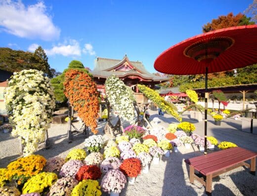 Kasama Pottery & Inari Shrine Tour: Cruise Shore Excursion