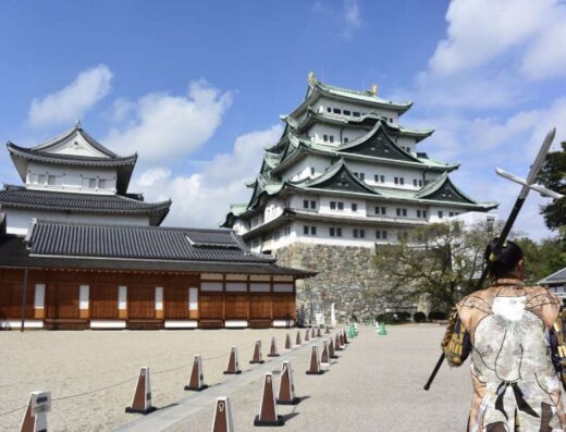 Nagoya Highlights Tour: Cruise Shore Excursion