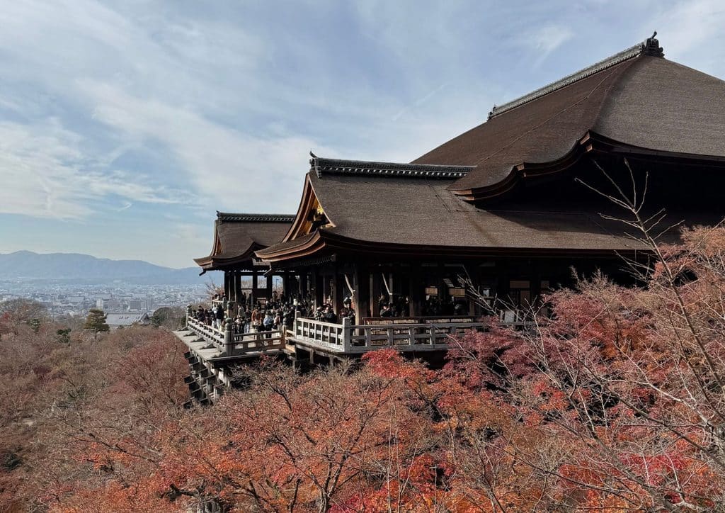Fall Leaves in Kyoto
