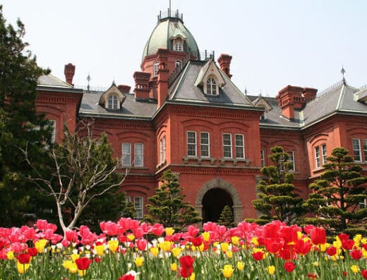 Sapporo City Tour with Local Guide Cruise Shore Excursion