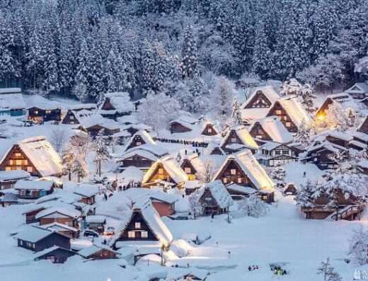 Gokayama & Kanazawa Sightseeing Tour: Cruise Shore Excursion