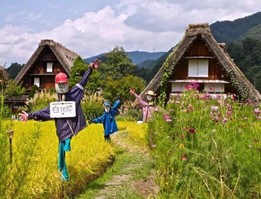 Gokayama & Kanazawa Sightseeing Tour: Cruise Shore Excursion