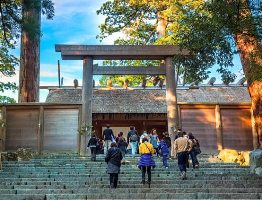 Ise Shrine, Skyline & Mikimoto Pearl Island Tour: Cruise Shore Excursion
