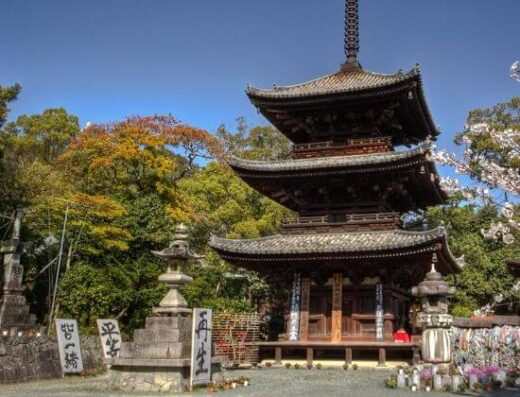 Best of Matsuyama Highlights Tour: Cruise Shore Excursion