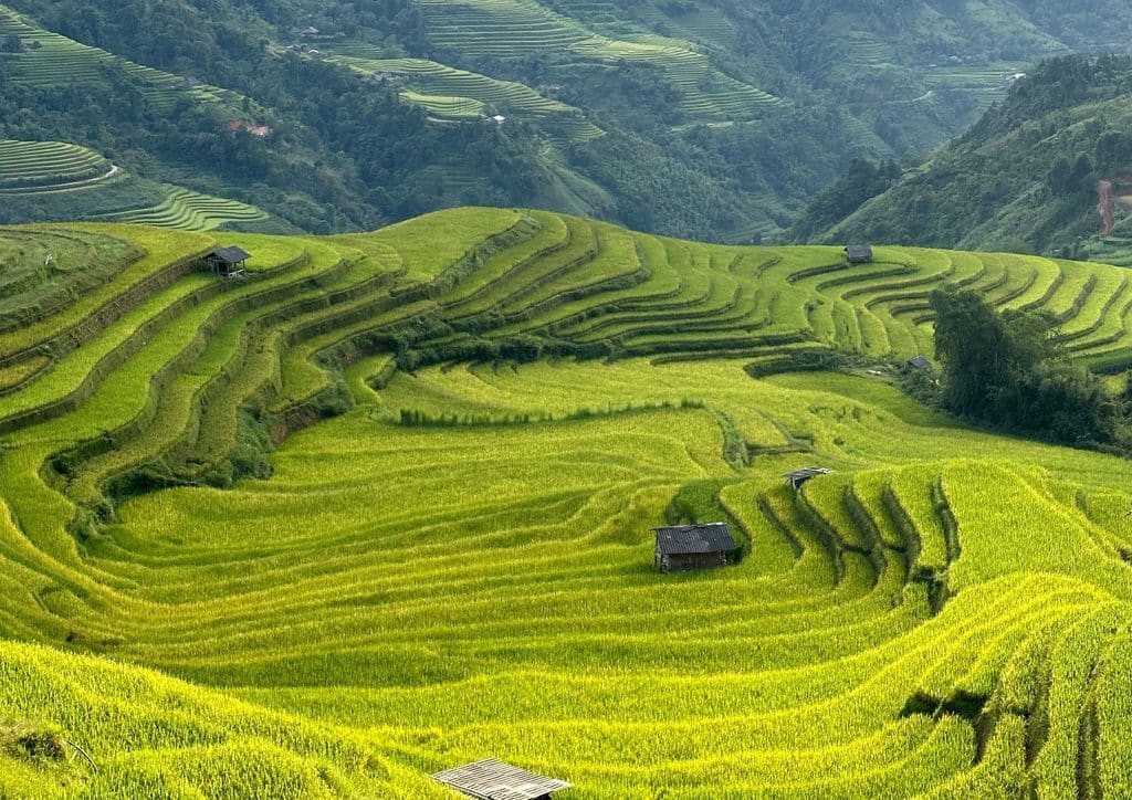 Japan Rice Terrace Guide