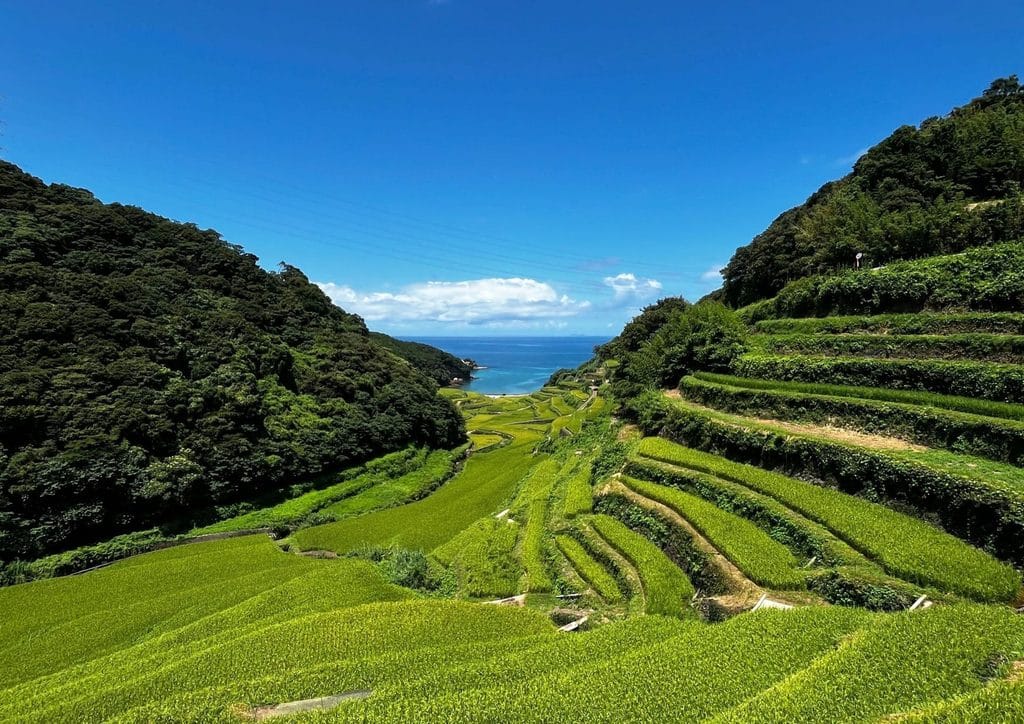 Japan Rice Terrace Guide