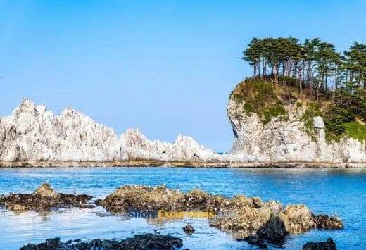Miyako Highlights Tour: Cruise Shore Excursion
