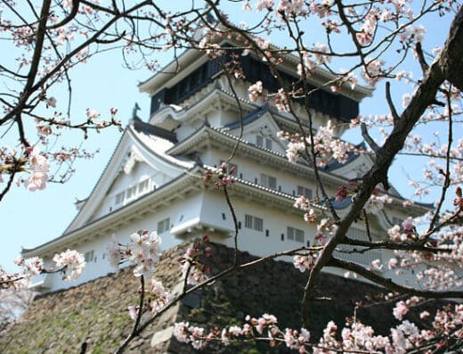 Kitakyushu & Shimonoseki Highlights: Cruise Shore Excursion