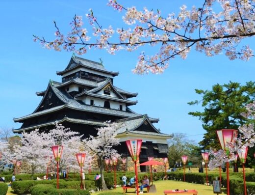 Matsue Castle & Tottori Hanakairo Tour: Cruise Shore Excursion