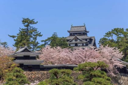 Matsue Castle & Tottori Hanakairo Tour: Cruise Shore Excursion