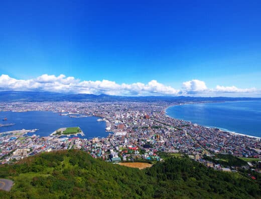 Hakodate City & Scenic Views Tour: Cruise Shore Excursion