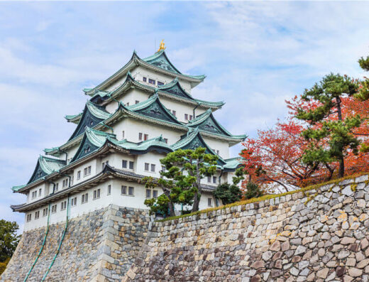 Nagoya Highlights Tour: Cruise Shore Excursion