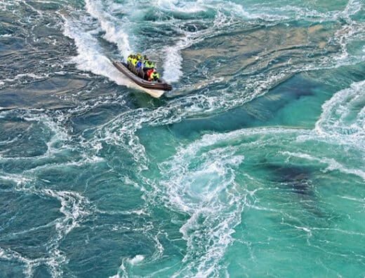 Naruto Whirlpools & Ryozan-ji Temple Tour: Cruise Shore Excursion
