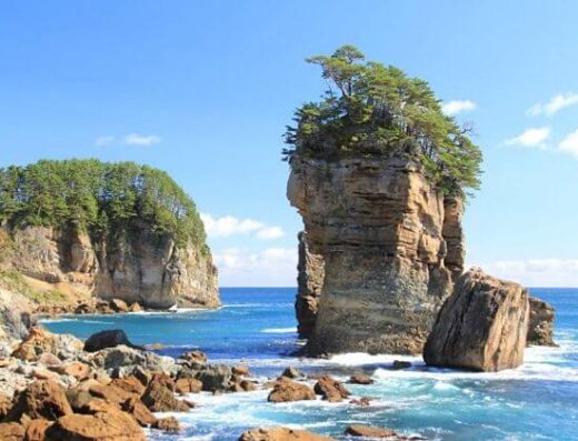 Iwate Natural Exploring: Cruise Shore Excursion