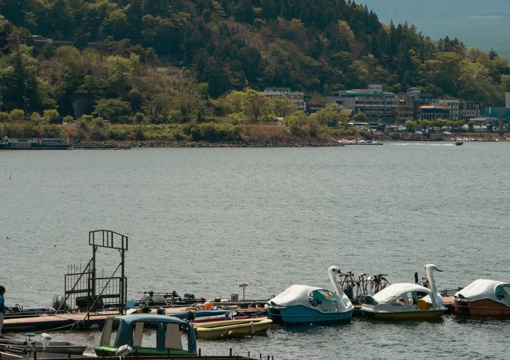 Lake Kawaguchi Fuji Views