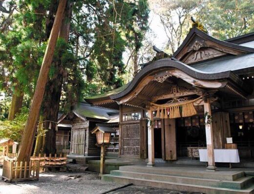 Miyazaki Natural Sightseeing Tour: Cruise Shore Excursion