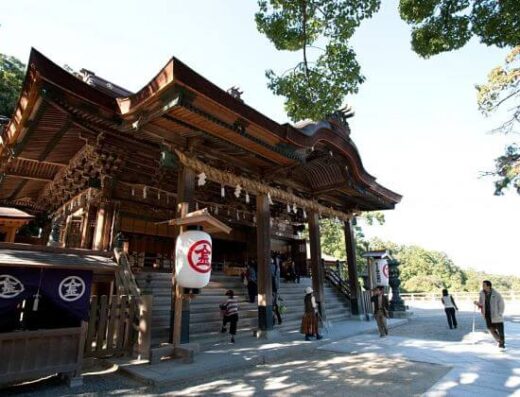 Kotohira Sightseeing Tour: Cruise Shore Excursion