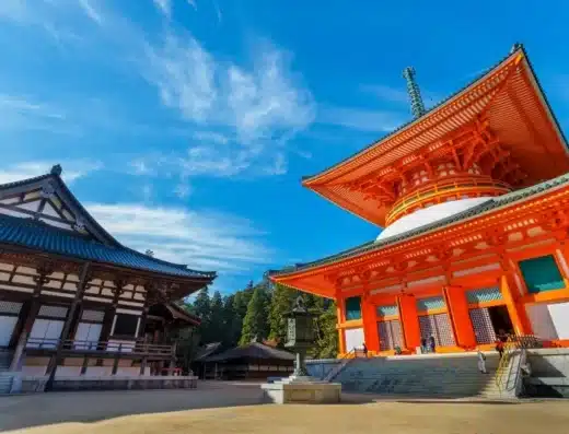 Sacred Mount Koya Temple Experience: Cruise Shore Excursion