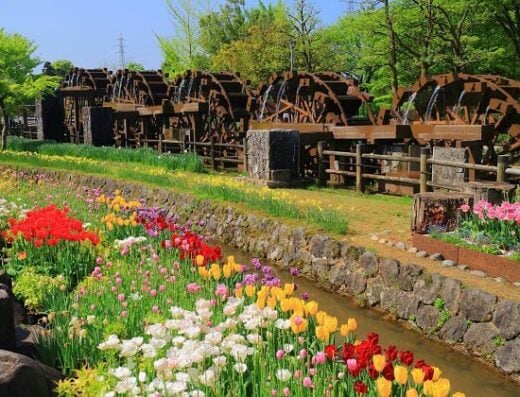 World Heritage Village of Gokayama Tour: Cruise Shore Excursion