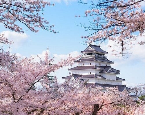 Tsuruga Cultural Heritage Tour: Cruise Shore Excursion