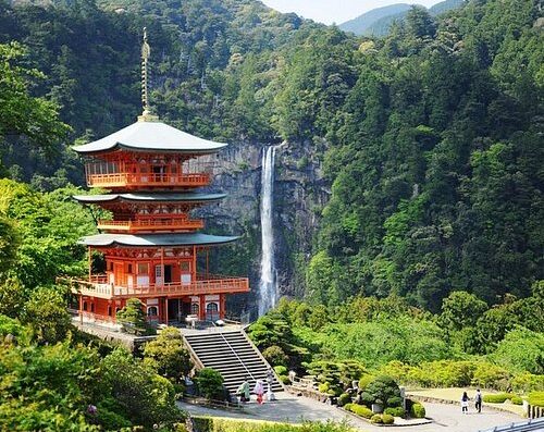 Wakayama Highlights Tour: Cruise Shore Excursion