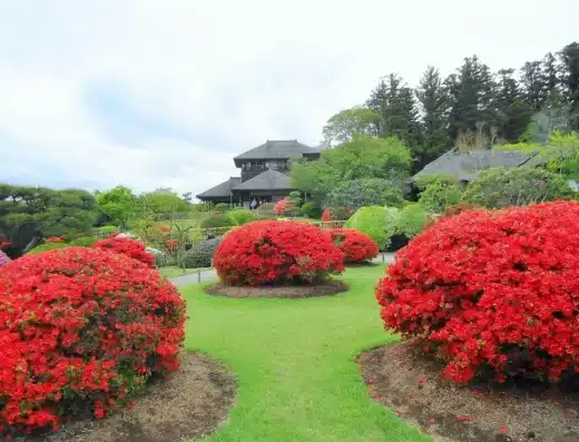 Hitachinaka & Kairakuen Garden Tour: Cruise Shore Excursion