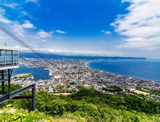 Hakodate City & Scenic Views Tour: Cruise Shore Excursion