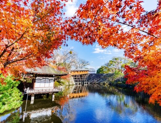 Wakayama Highlights Tour: Cruise Shore Excursion