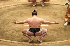 Spring Tour of 2026 Grand Sumo Tournament, Kashima Tournament in JAPAN Ticket Information