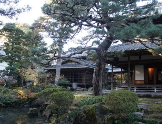 Niigata Historical Tour: Cruise Shore Excursion
