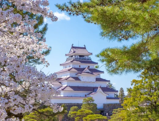 Tsuruga Cultural Heritage Tour: Cruise Shore Excursion