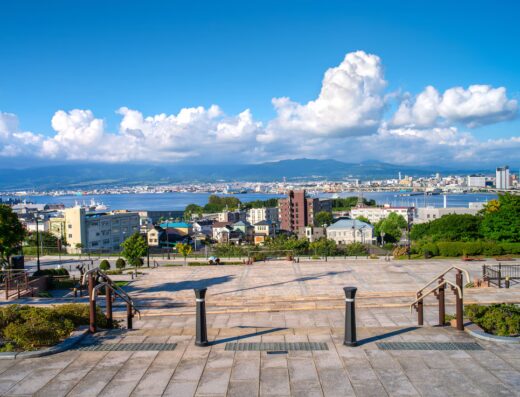 Hakodate Highlights with Motomachi Tour Cruise Shore Excursion