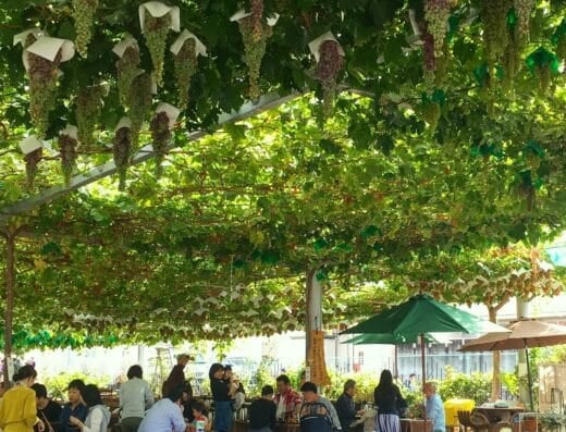 Shizuoka Fine Wine Festival 2026 in Japan Ticket Information
