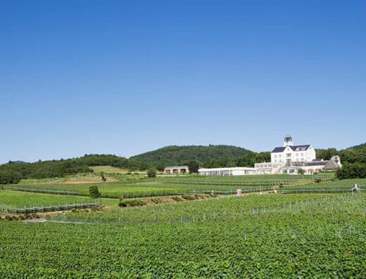 Shizuoka Fine Wine Festival 2026 in Japan Ticket Information