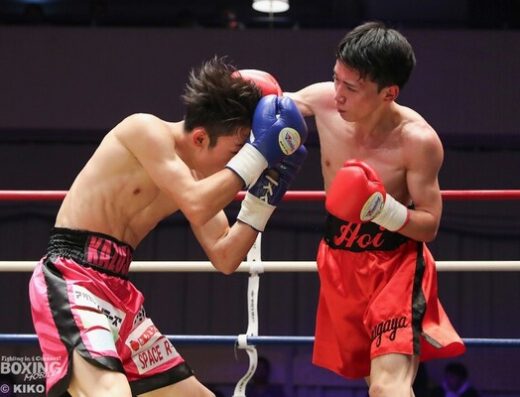 Professional boxing