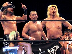Michinoku Pro Wrestling