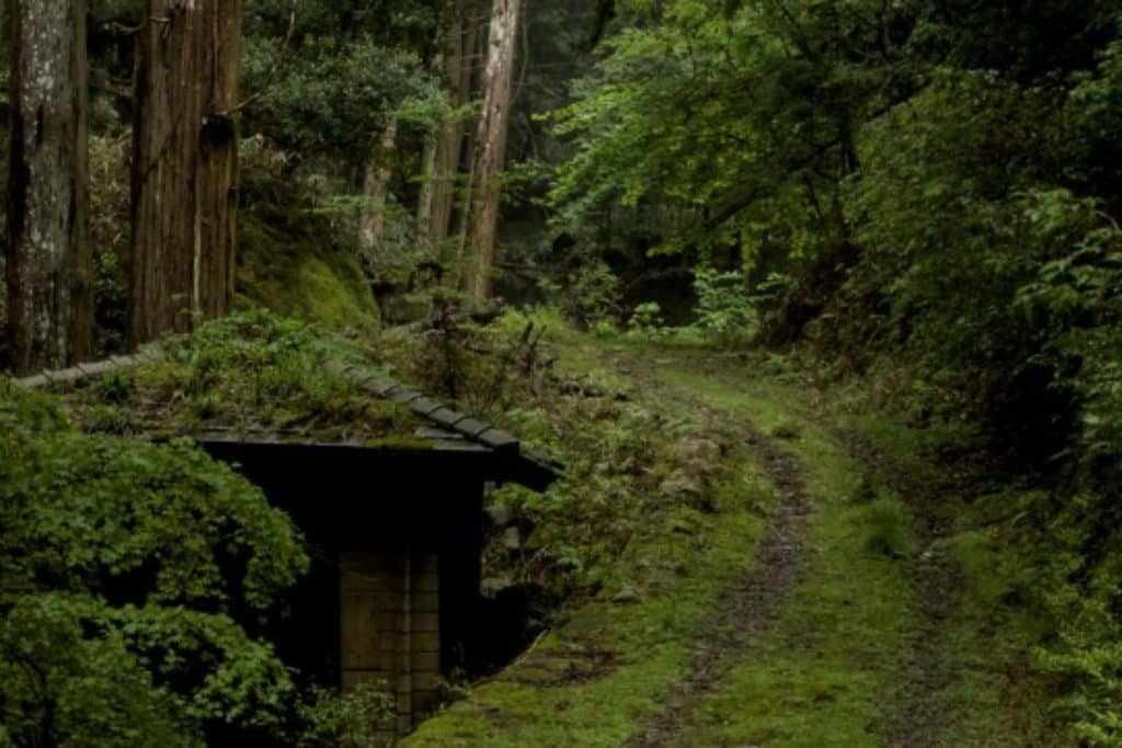 The Beaten Path Japan