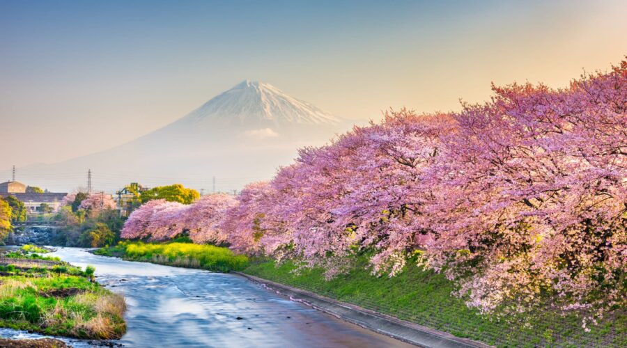 10 Things Nobody Tells You-About Visiting Japan