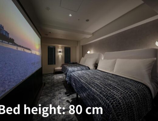 The Lively Osaka Honmachi: Hotel Near Umeda & Shinsaibashi
