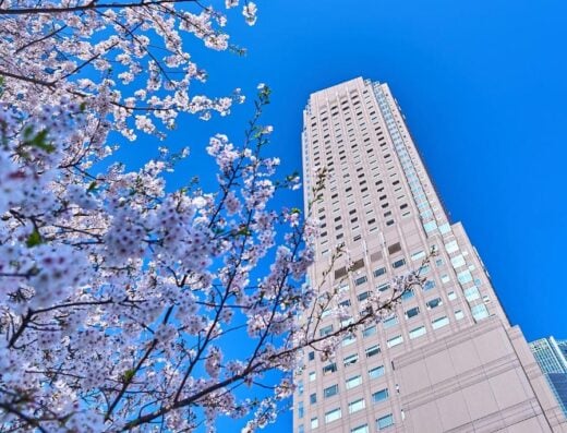 Cerulean Tower Tokyu Hotel Tokyo: Luxury 5-Star Stay Near Shibuya Station with Skyline Views