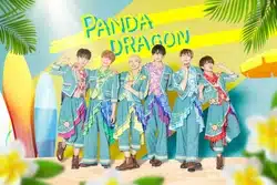 Panda Dragon
