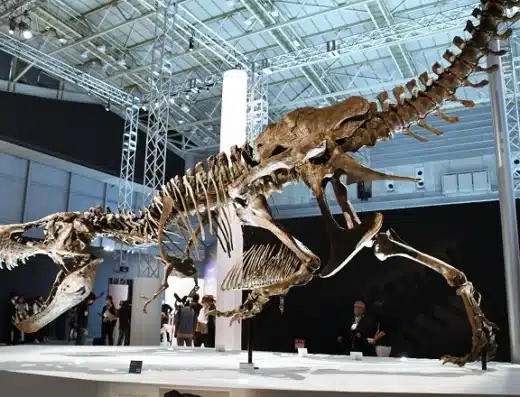 Yokohama Dinosaur Exhibition 2026 Japan Ticket Information