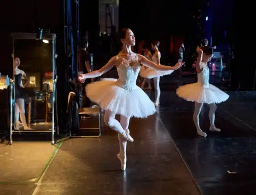 With Love ~The Ballet ‘The Crane’s Return of a Favor 2026 Japan Ticket Information