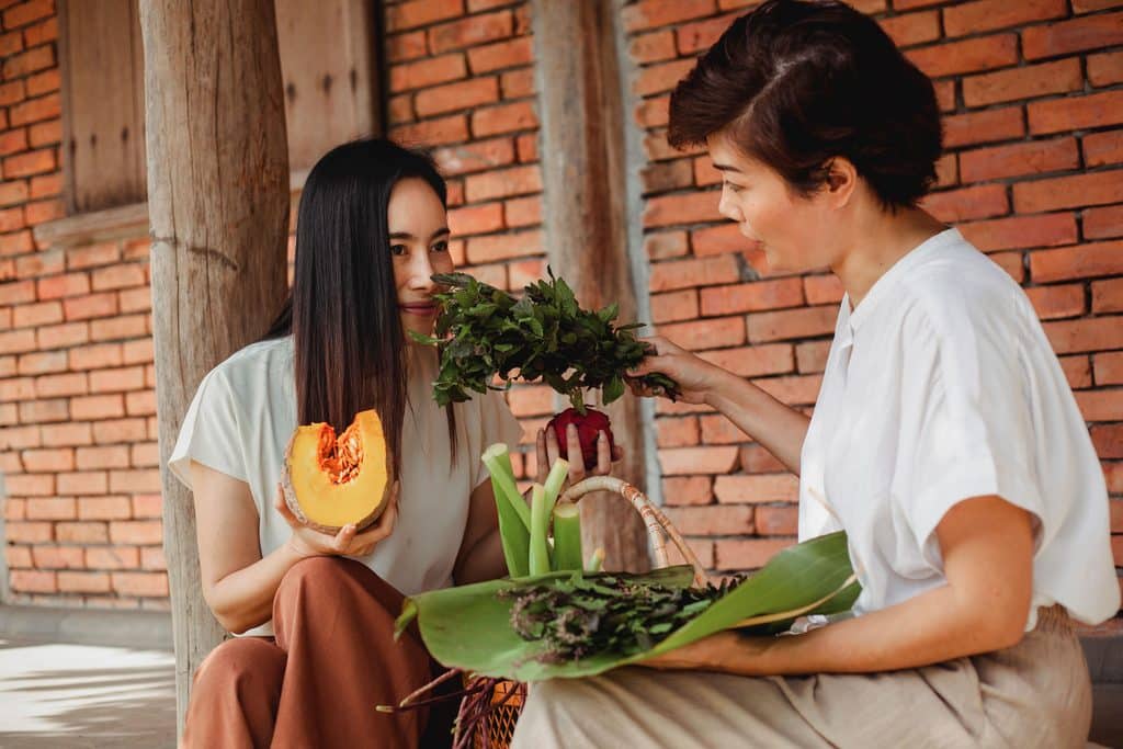 Vegan Travel Japan Guide 2026