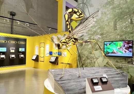 Great Insect Exhibition