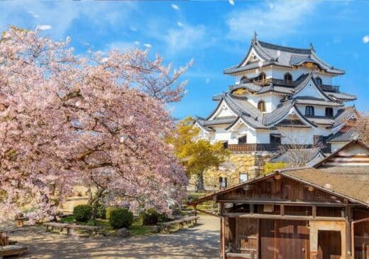 Hikone Castle Combined Ticket 2026-2027 Shiga Prefecture
