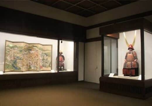 Hikone Castle & Museum Tickets