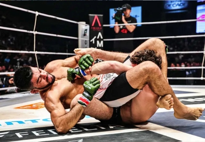 RIZIN FIGHTING FEDERATION