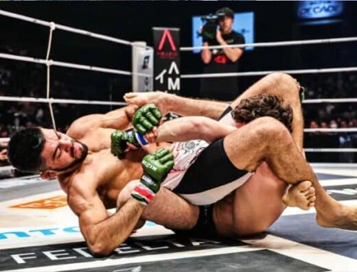 RIZIN FIGHTING FEDERATION